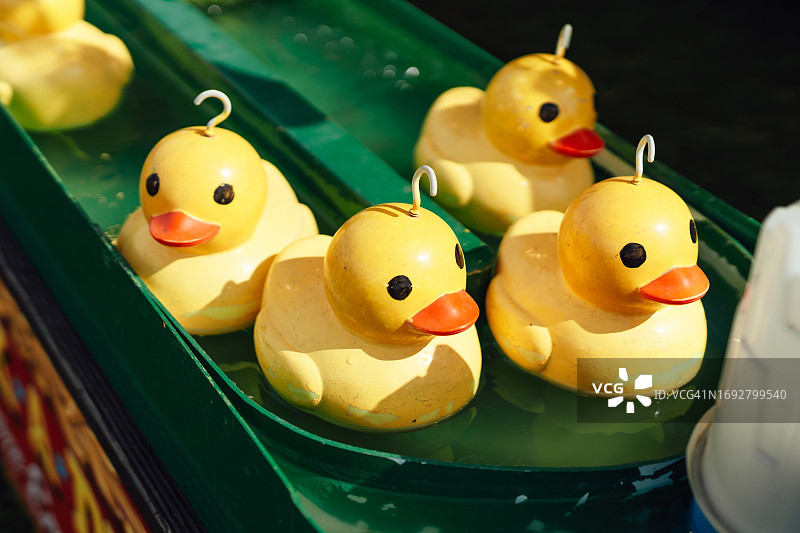 嘉年华游戏中水池里的玩具鸭图片素材