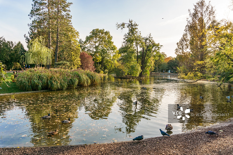 维也纳城市公园池塘图片素材