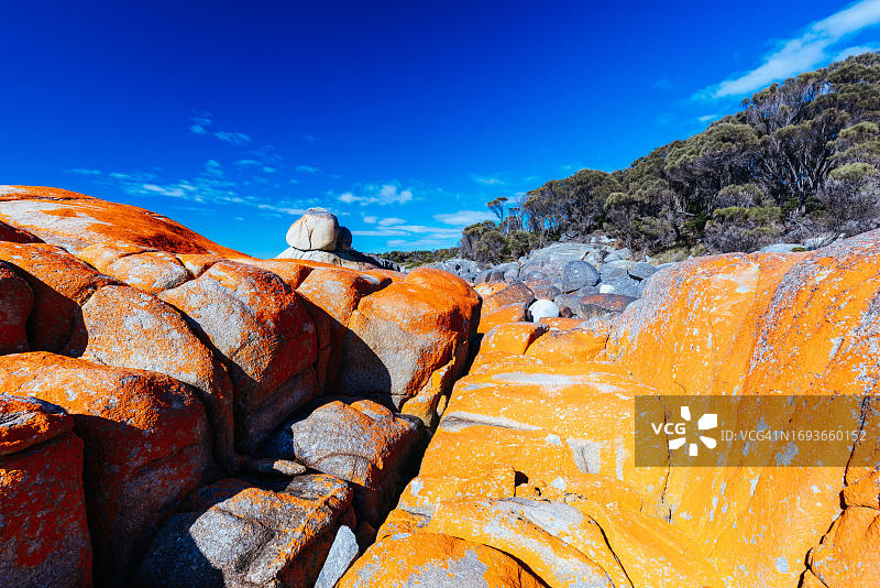 火焰湾比纳隆湾的小象湾自然保护区图片素材