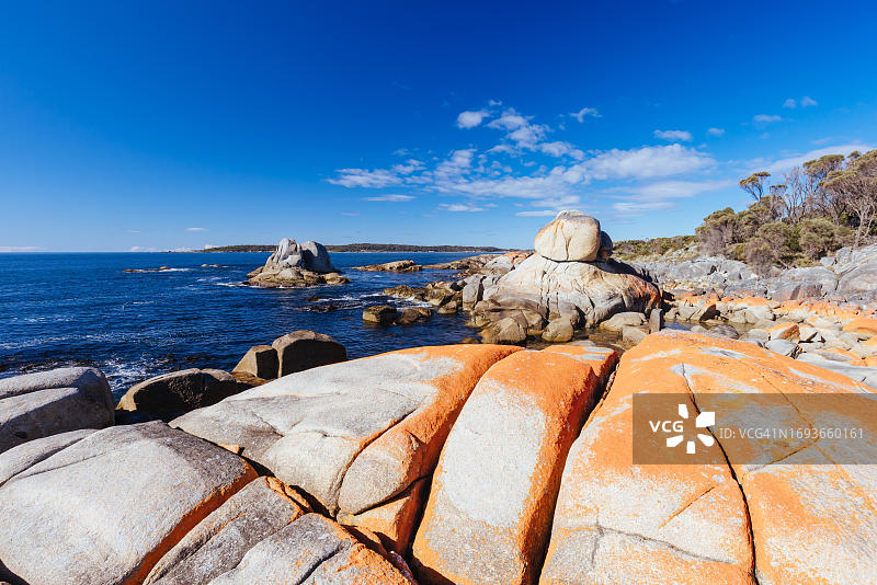 火焰湾比纳隆湾的小象湾自然保护区图片素材