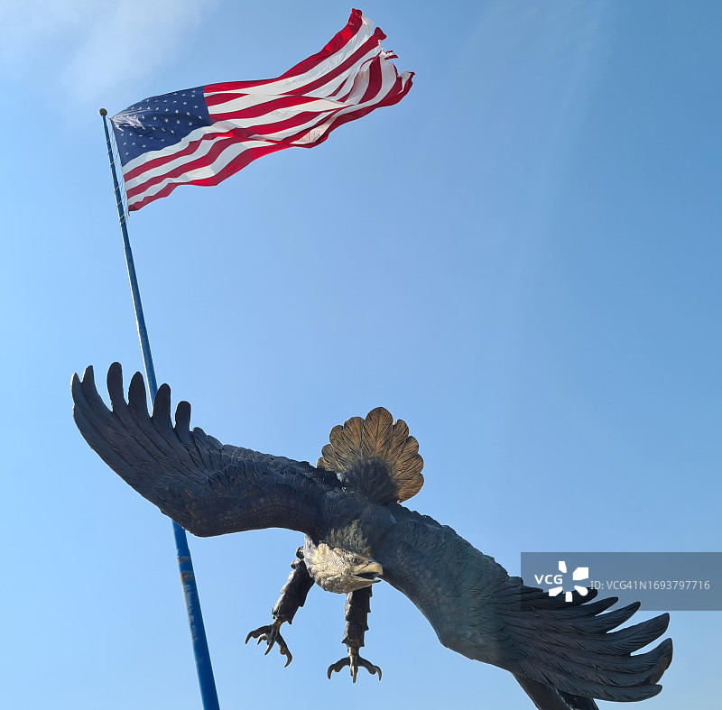 美国雄鹰、美国国旗、美国南达科他州阿伯丁图片素材