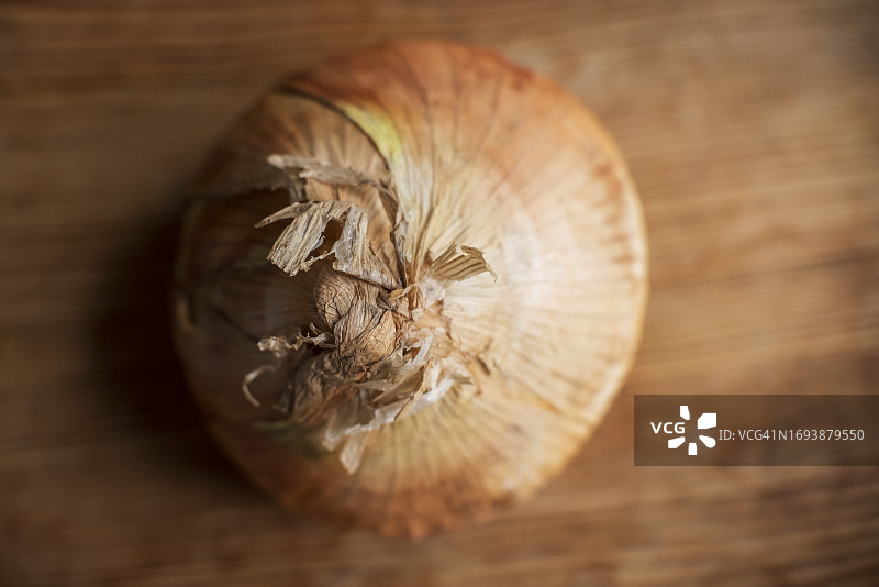 普通洋葱图片素材