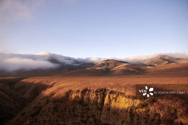 美国加利福尼亚州霍利斯特牧场图片素材