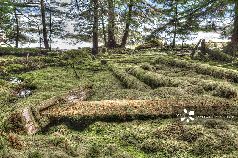房屋废墟图片素材