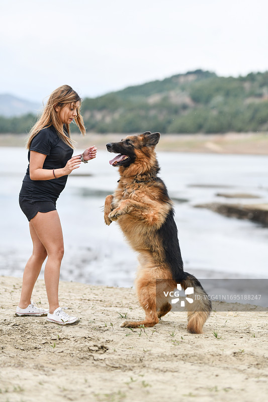 训练用后腿站立的德国牧羊犬的女人图片素材