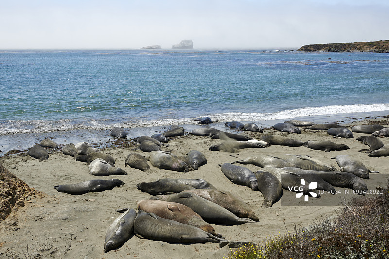 加利福尼亚州圣西蒙海景图片素材