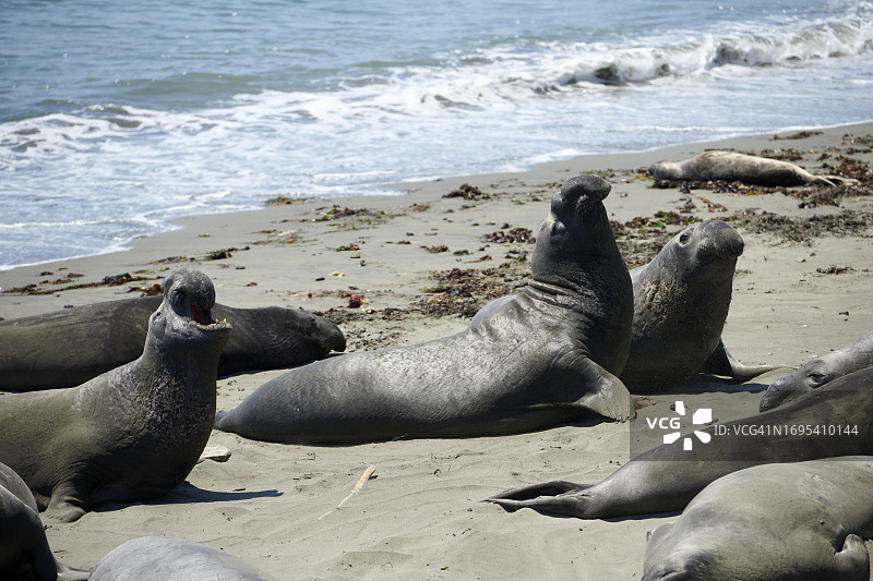 加利福尼亚州圣西蒙海景图片素材