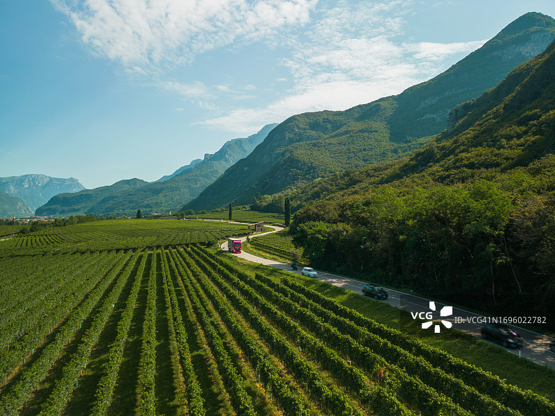 葡萄园的空中美景图片素材