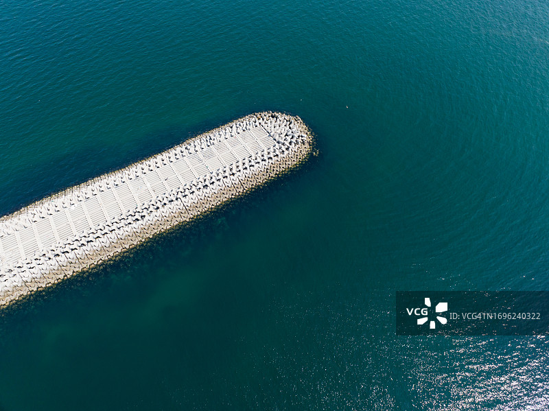 海上防风林航拍图片素材