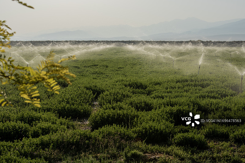 农业种植图片素材