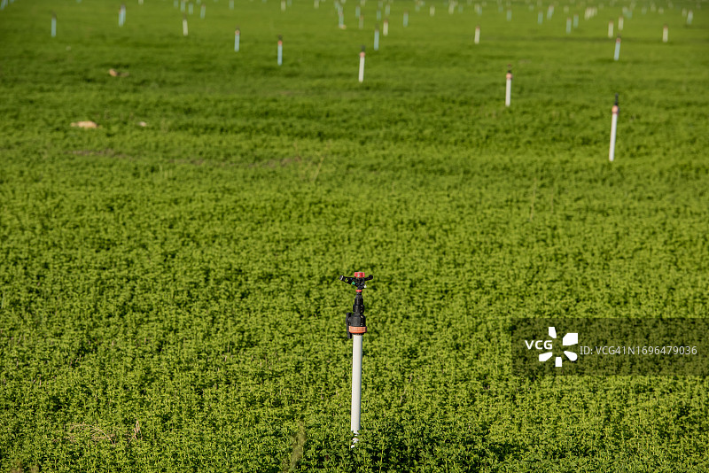 农业种植图片素材