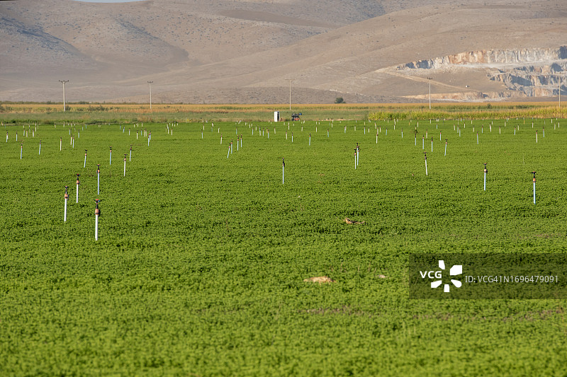 农业种植图片素材
