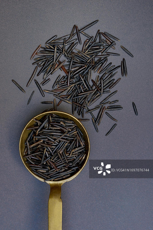 加拿大黑野米图片素材