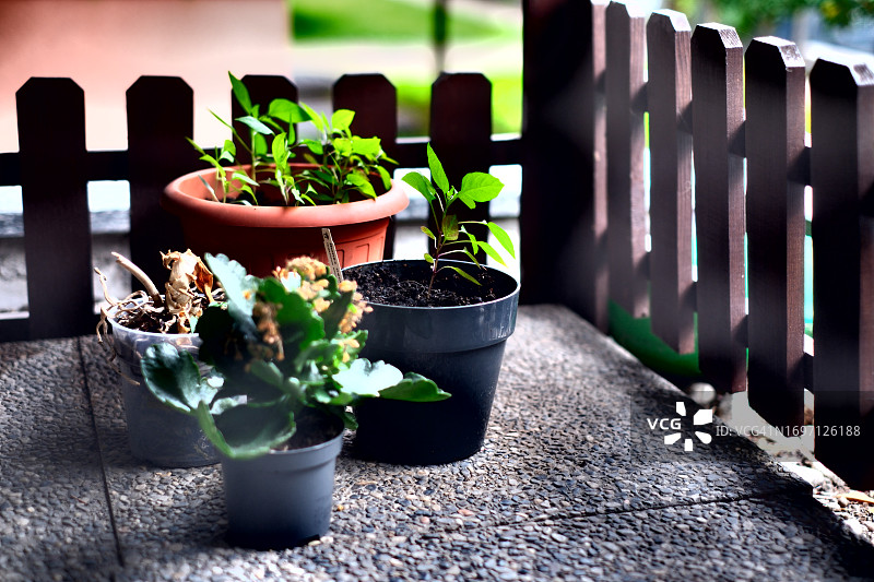 带有植物和小木屋的阳台图片素材