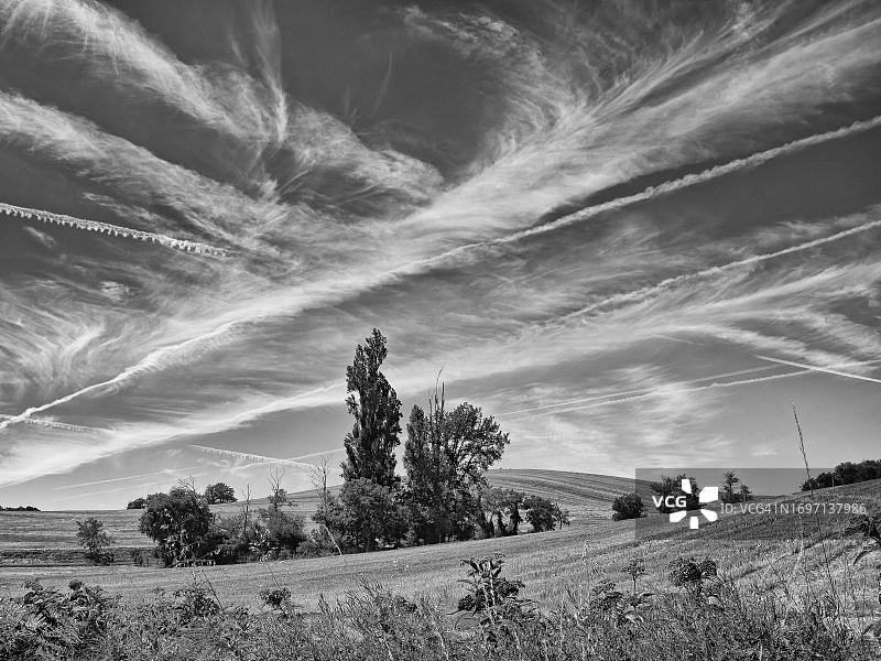 小麦田上的树群，卷云，黑白，法国图片素材