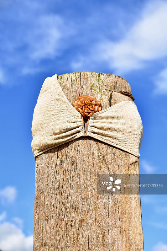 海滩女郎图片素材