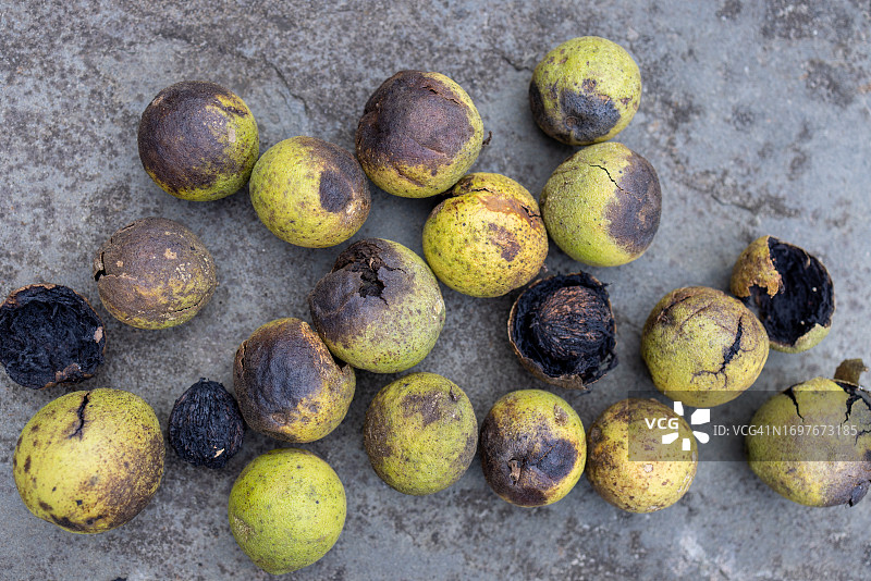 石板背景上的黑核桃丰收图片素材