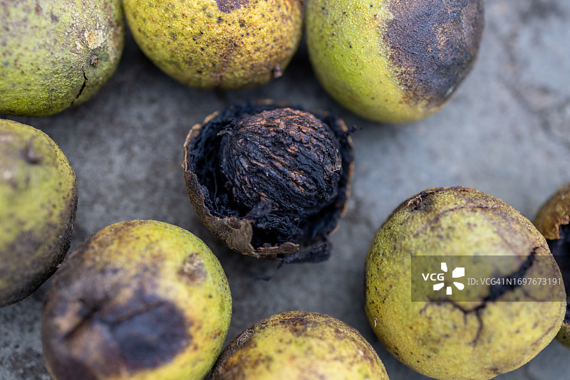 石板背景上的黑核桃丰收图片素材