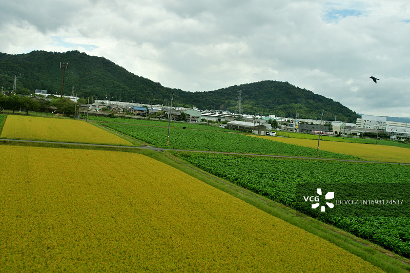 日本乡村风光：从东海道新干线看到的日本中西部景色图片素材