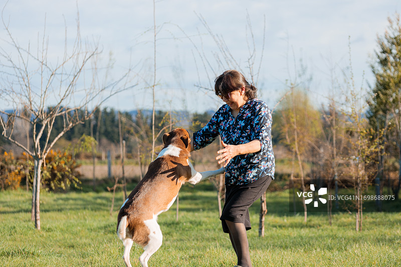 老年拉丁女人在乡下和小狗玩耍图片素材