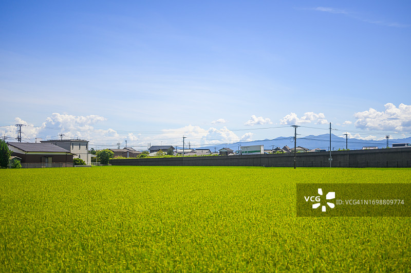 日本九州的农田和乡村风光图片素材