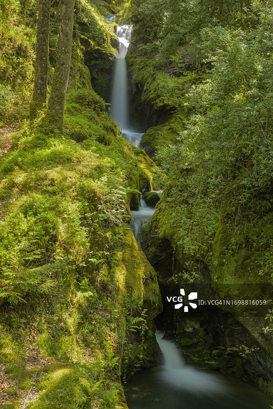 爱尔兰威克洛郡格兰达洛的普拉纳斯瀑布图片素材