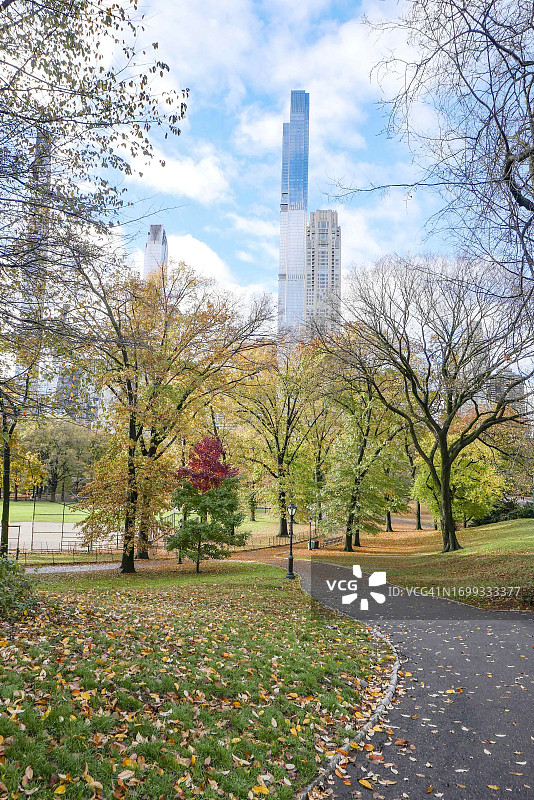 中央公园的金色秋叶图片素材