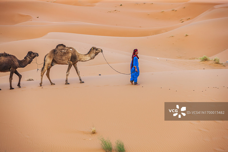 在非洲西撒哈拉沙漠上与骆驼同行的年轻图阿雷格人图片素材