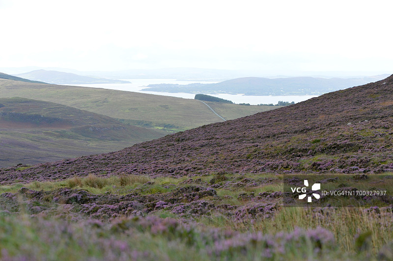 美丽的自然风光图片素材