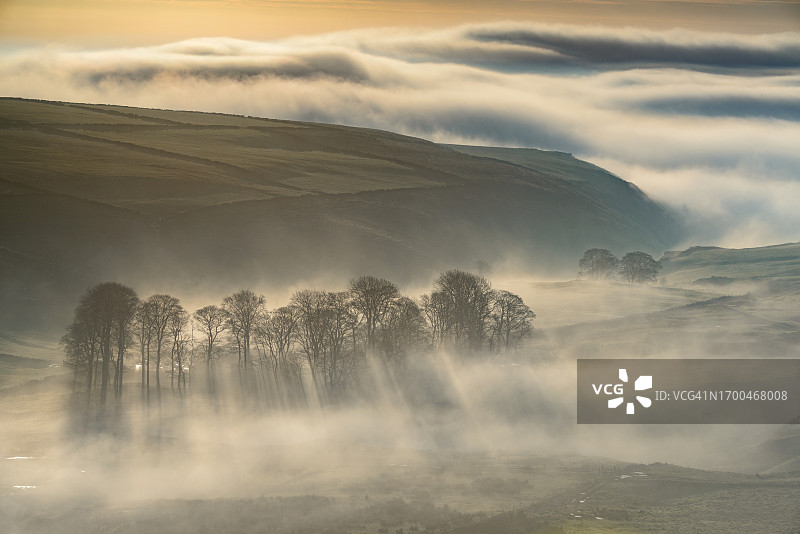 英国峰区国家公园的雾中树木图片素材