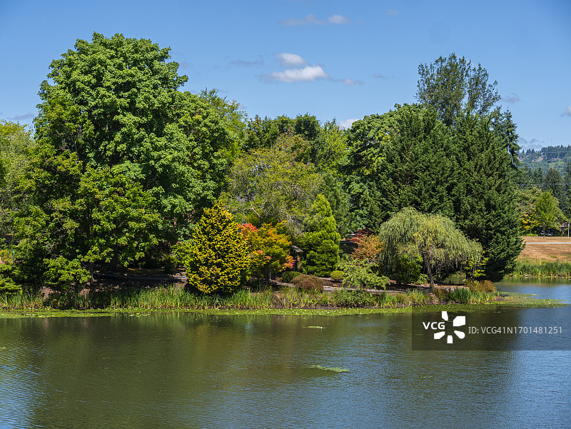 萨卡卡维亚湖掠影，华盛顿州朗维尤，2016年1月1日图片素材