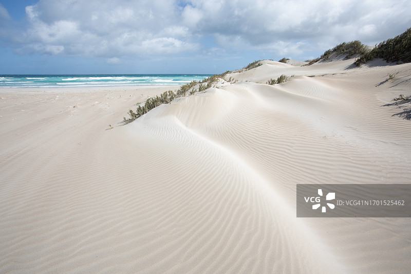 玛丽埃利斯沉船海滩的沙丘，斯利福德湾，艾尔半岛，南澳大利亚图片素材