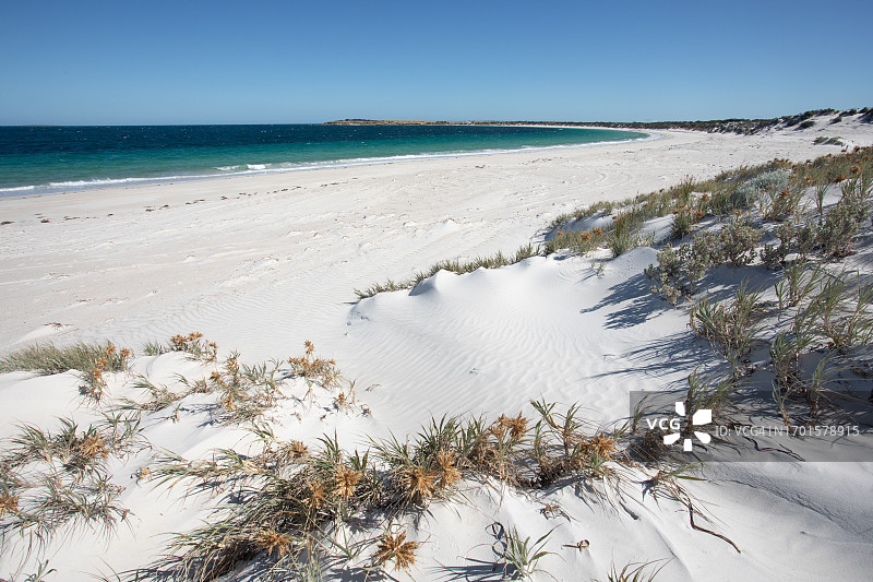 瑟鲁纳海滩，艾尔半岛，南澳大利亚图片素材