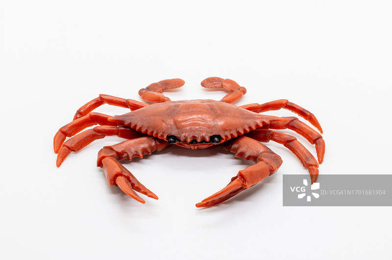 白色背景上的红蟹图片素材