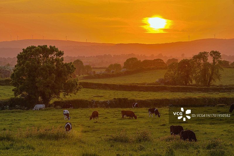 爱尔兰蒂珀雷里郡卡舍尔附近的乡村日落图片素材