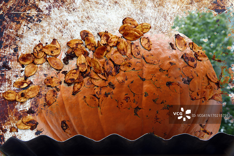 抽象烤南瓜籽图片素材