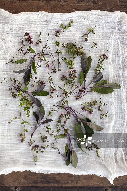 牛至花与紫色鼠尾草静物图片素材