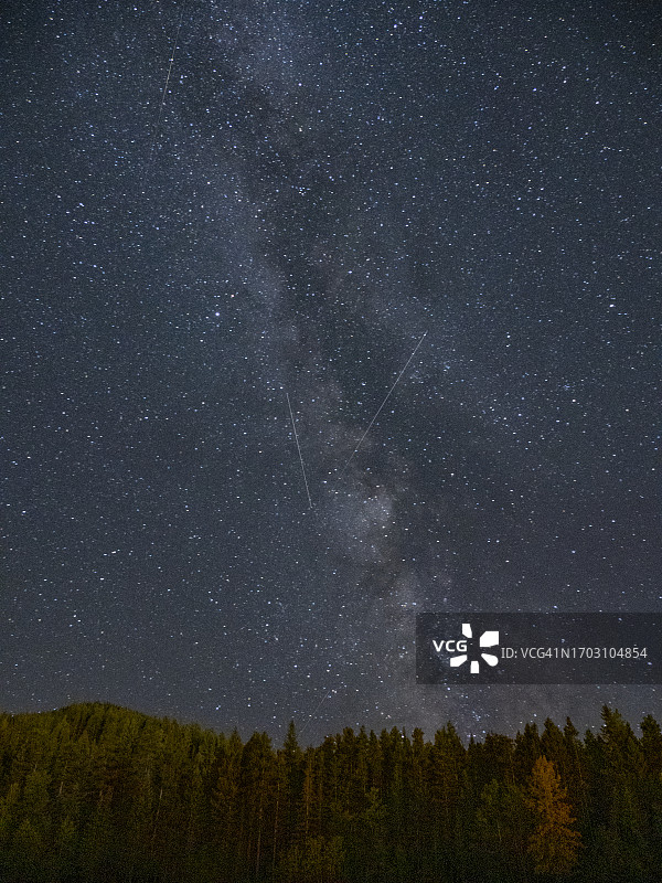 星空和森林的延时摄影图片素材