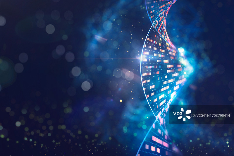 人类基因组DNA分子结构图片素材