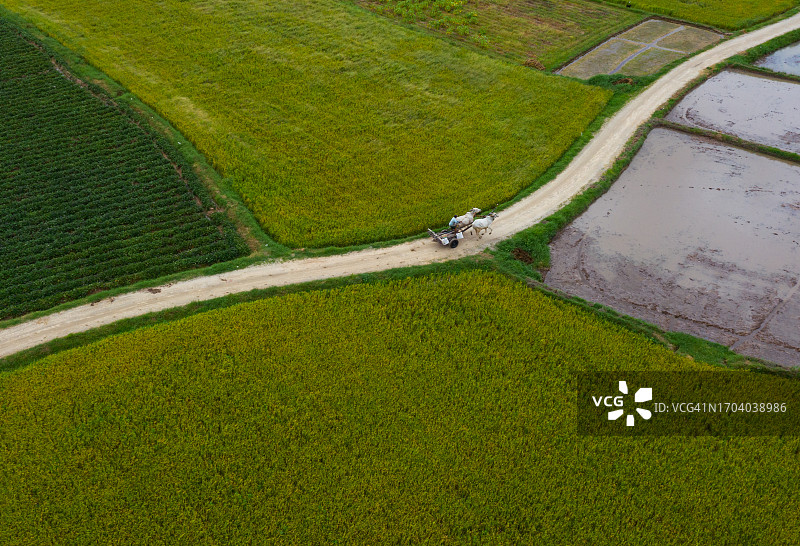 安江省穿过稻田和菜地的乡村公路航拍照片图片素材