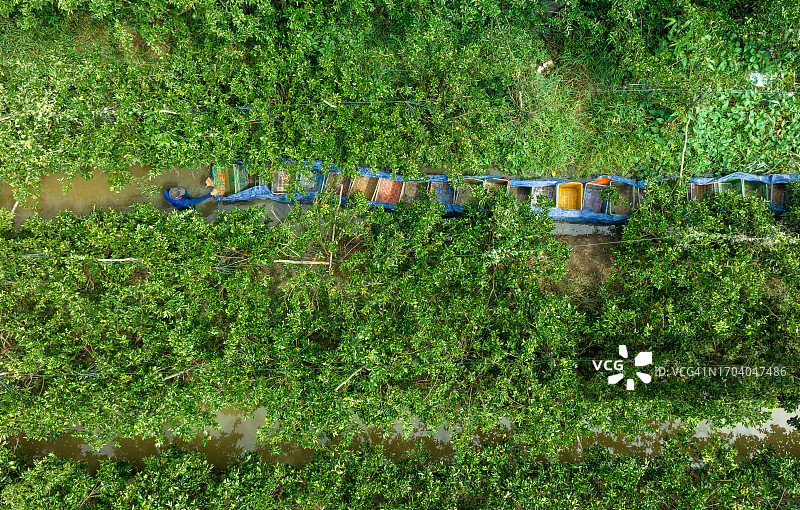 永隆省橙园丰收季航拍照片图片素材