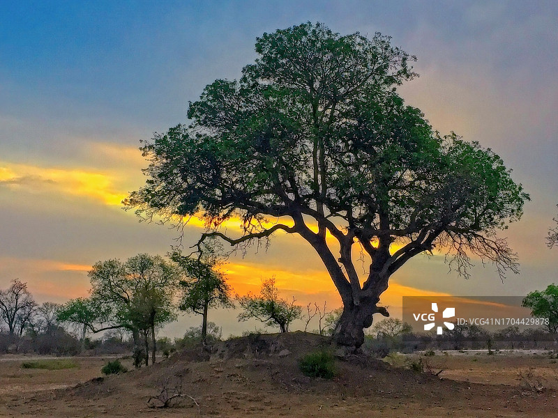 萨比沙地的日落图片素材