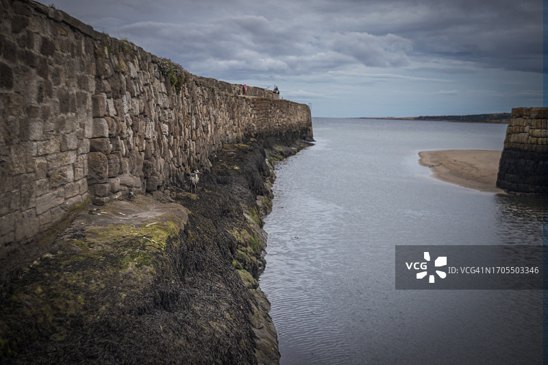 圣安德鲁斯港图片素材