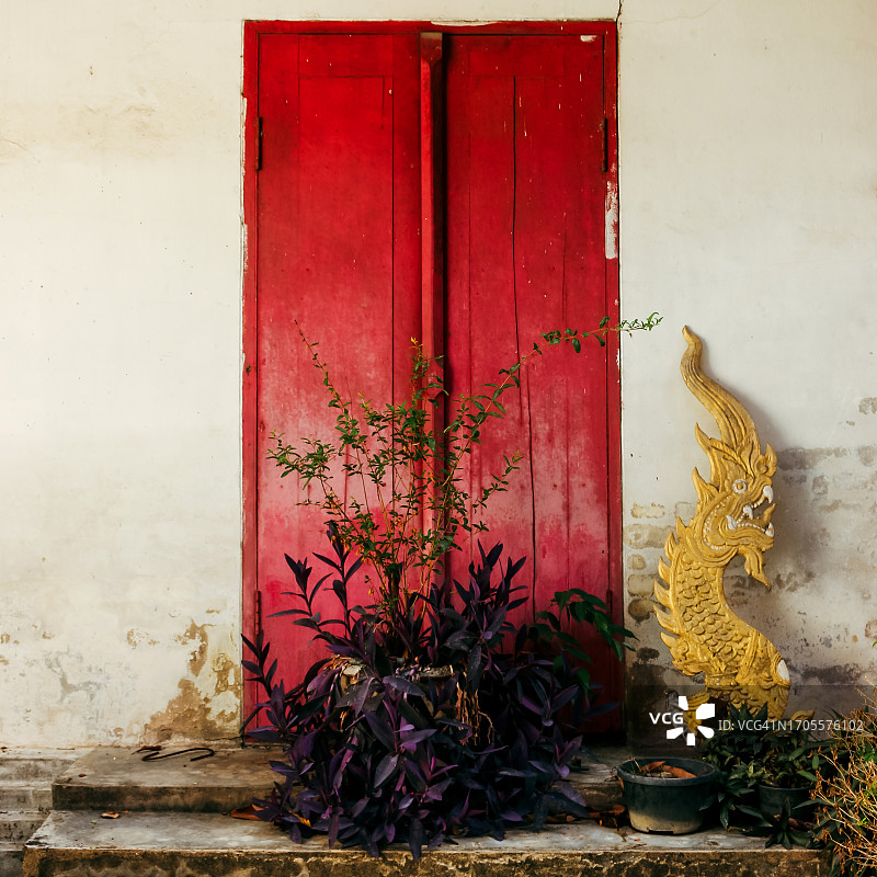 寺庙后院废弃空间图片素材