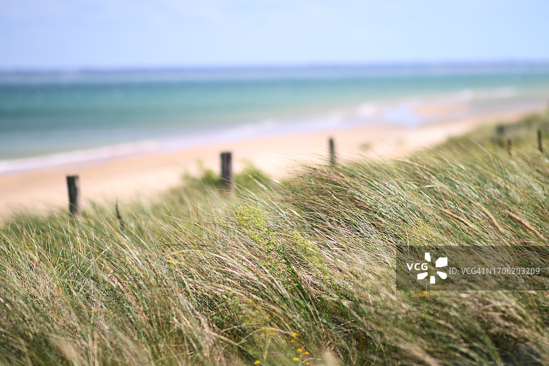 犹他海滩图片素材