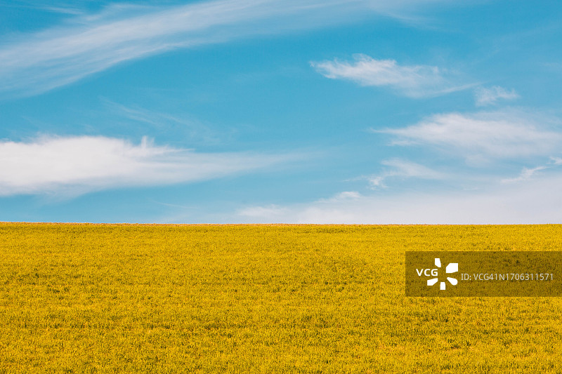 草地与天空图片素材