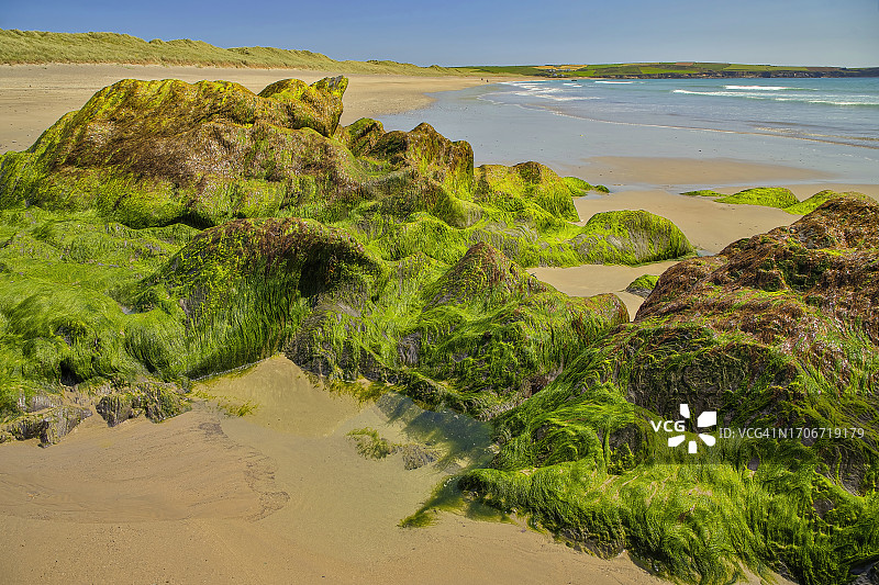 爱尔兰科克郡卡斯尔弗雷克长滩图片素材