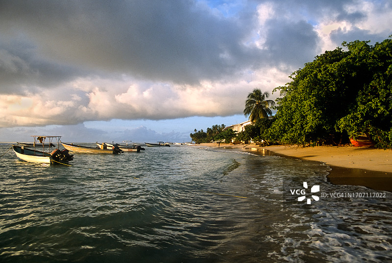 多巴哥信鸽角附近的渔船图片素材
