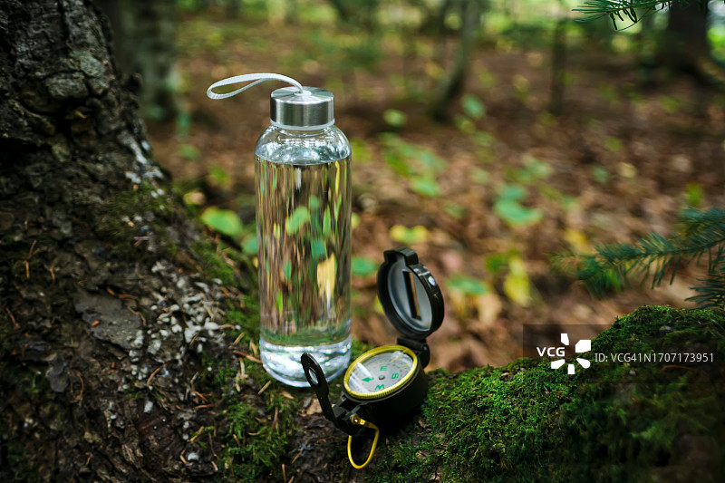 森林中的透明水瓶图片素材