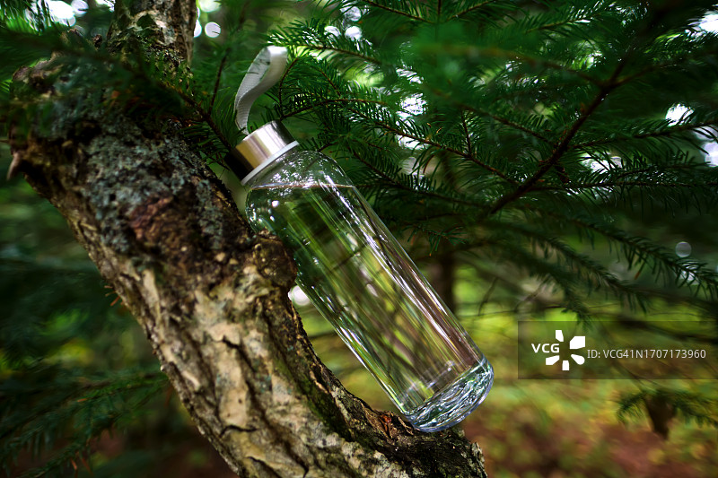 森林中的透明水瓶图片素材